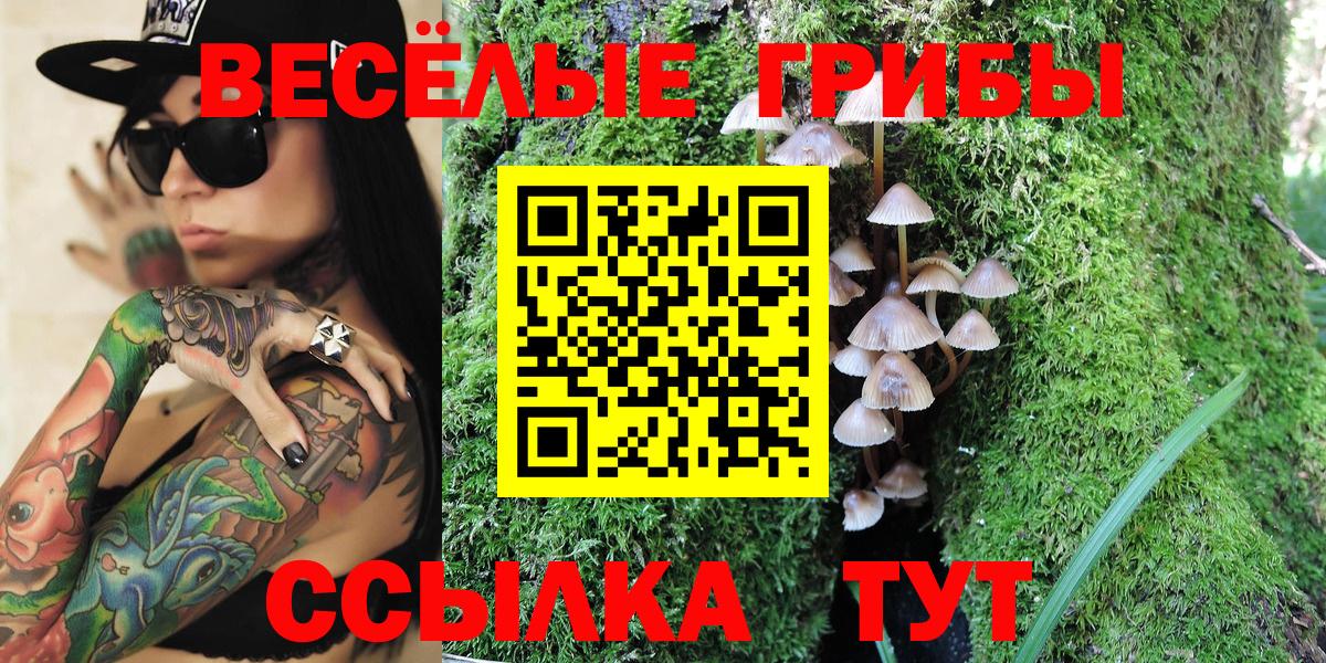 Богородицк  Псилоцибиновые грибы MAGIC MUSHROOMS  Псилоцибиновые грибы Cubensis  Вход с VPN 